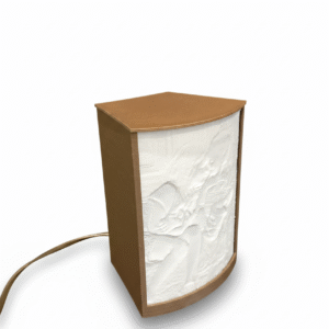 Lampe litophane - 1 photo (portrait)